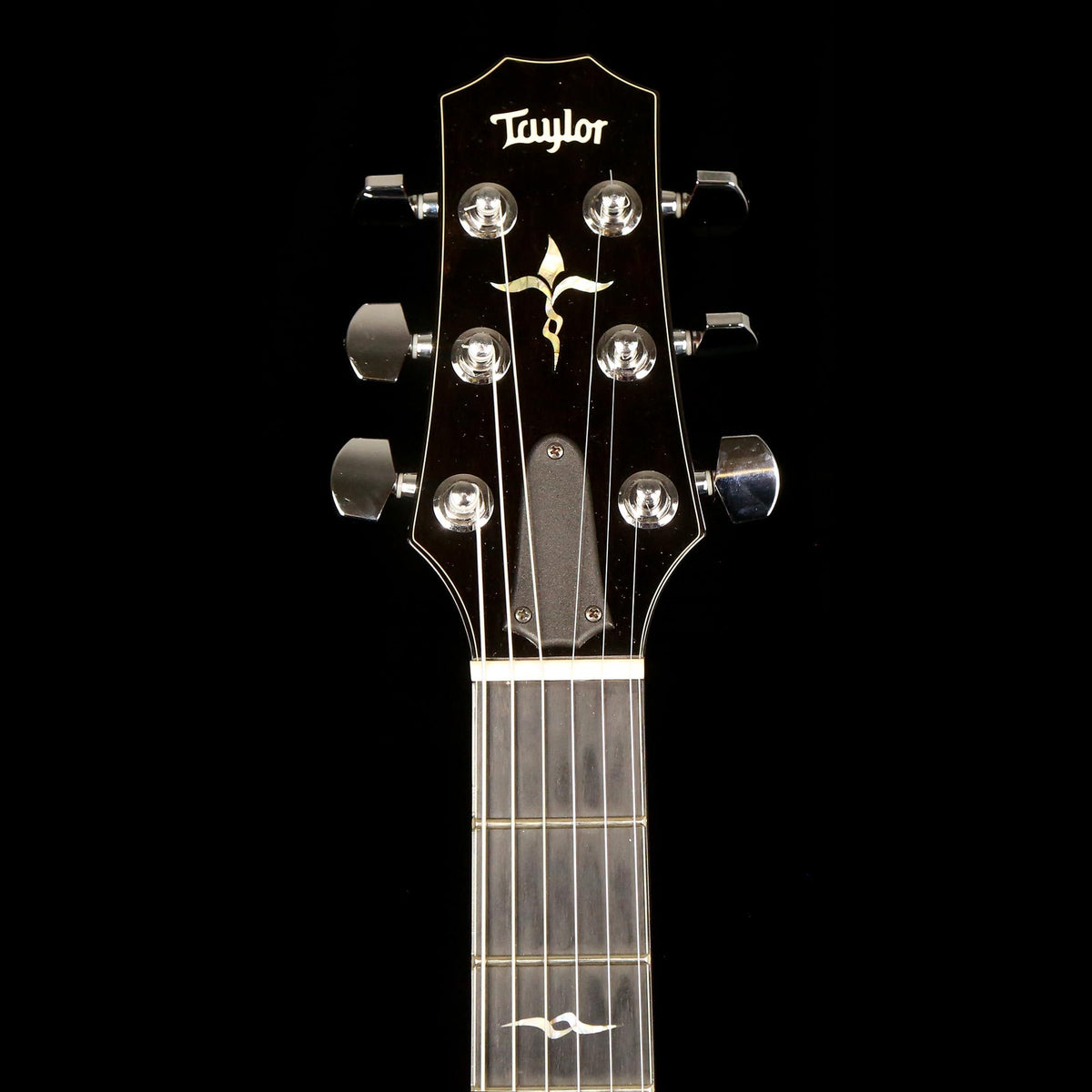 Taylor SolidBody Custom Koa and Blackwood 2007 — 4