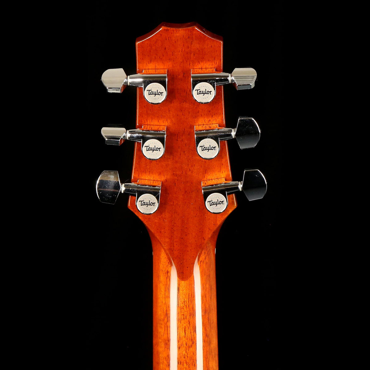 Taylor SolidBody Custom Koa and Blackwood 2007 — 5