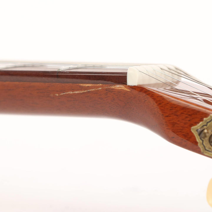 B&G Guitars Little Sister Crossroads Tobacco Burst