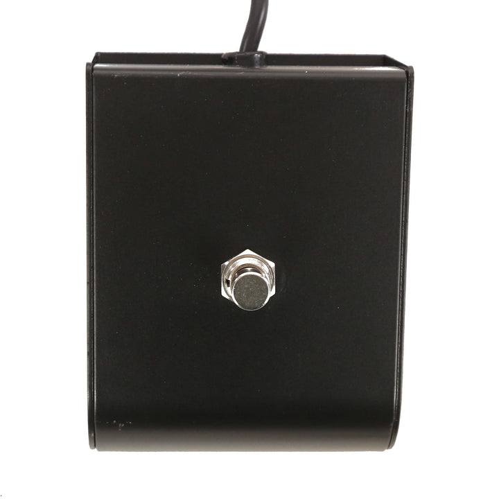 Louis Electric Amplifiers Columbia Reverb Combo Amplifier