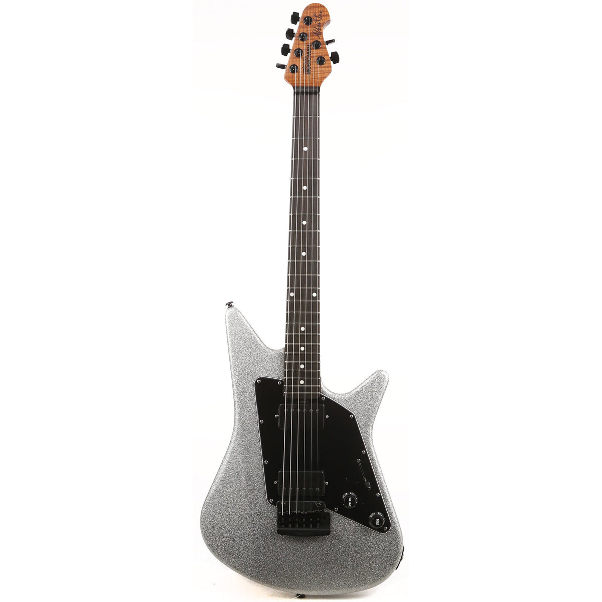 Ernie Ball Music Man Albert Lee HH Music Zoo 25th Anniversary Silver Sparkle — 2
