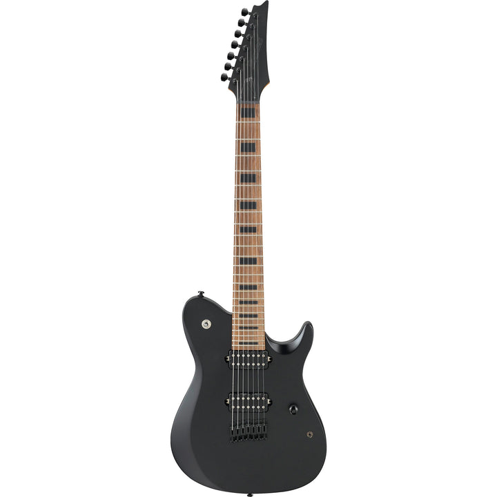 Ibanez FR Standard Black Flat