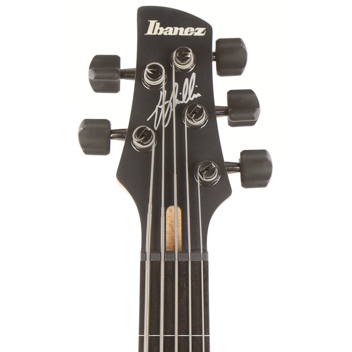 Ibanez Gary Willis Signature 5-String Electric Bass Tequila Sunrise Flat