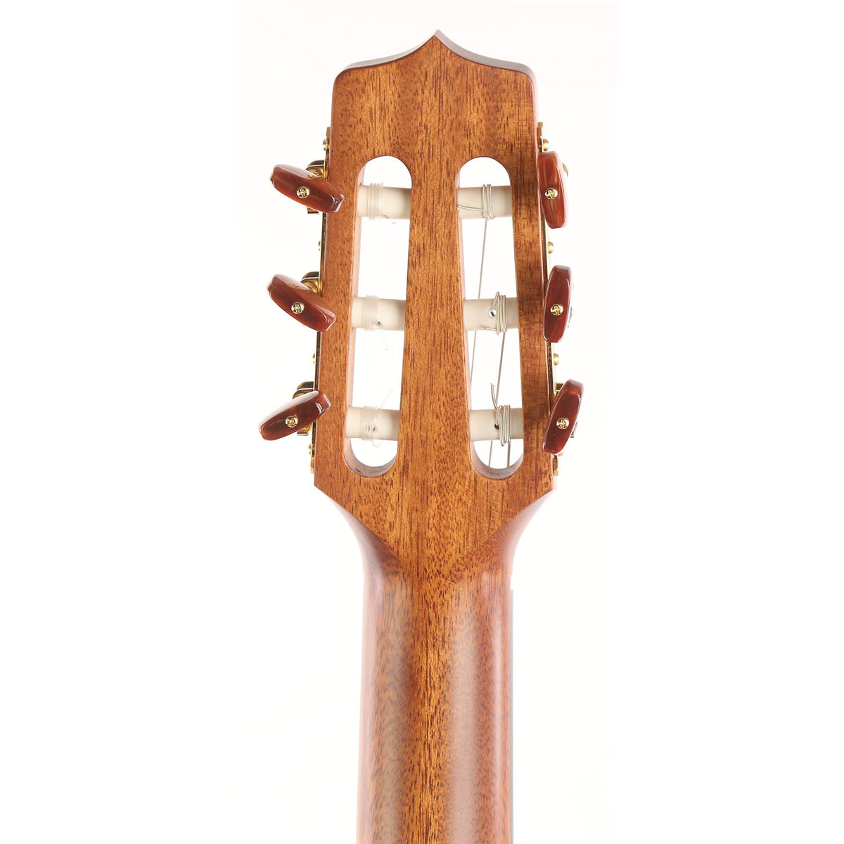 Takamine P3FCN Classical Nylon String Acoustic Natural — 5