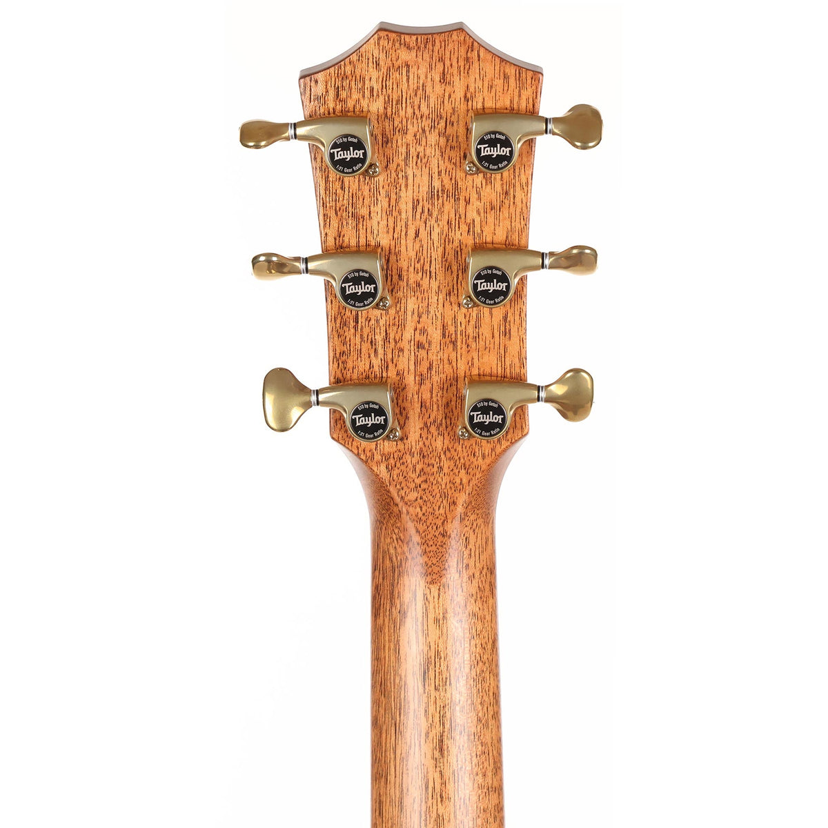 Taylor Builder's Edition 816ce Acoustic-Electric — 5