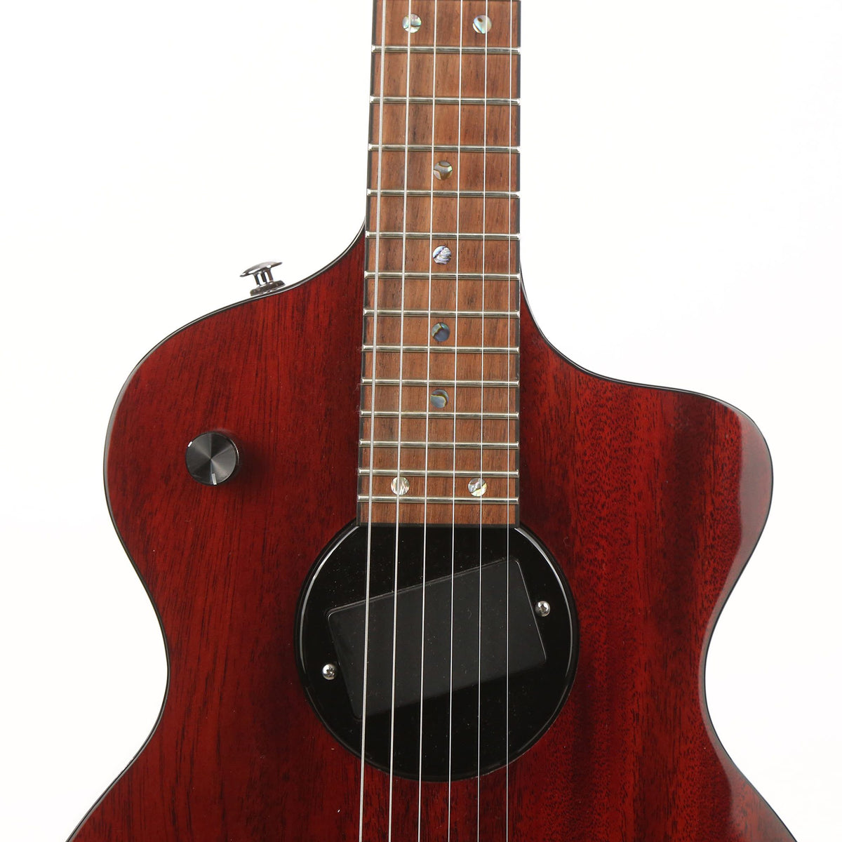 Rick Turner Model 1 — 6