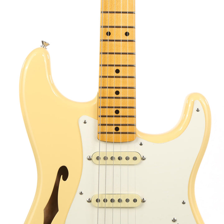 Fender Artist Series Eric Johnson Signature Stratocaster Thinline Vintage White 2018