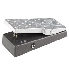 Fender EXP-1 Expression Pedal