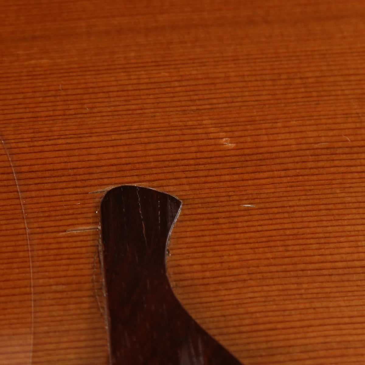 Lowden S10 Acoustic — 7