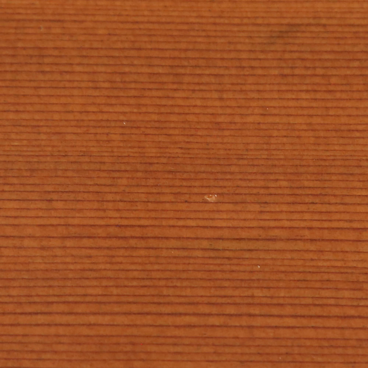 Lowden S10 Acoustic — 9