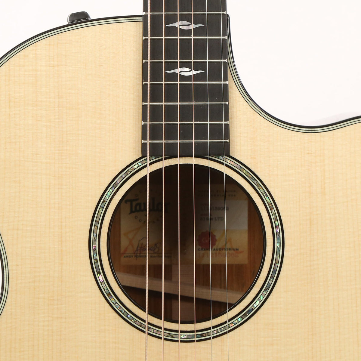 Taylor 814ce LTD Grand Auditorium Cocobolo and Lutz Spruce with V-Class Bracing Shaded Edgeburst — 5