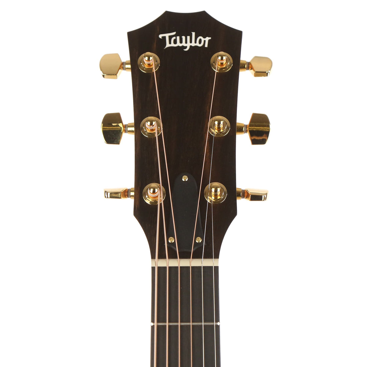 Taylor 214ce-BL Special Edition Black Limba Acoustic-Electric — 4