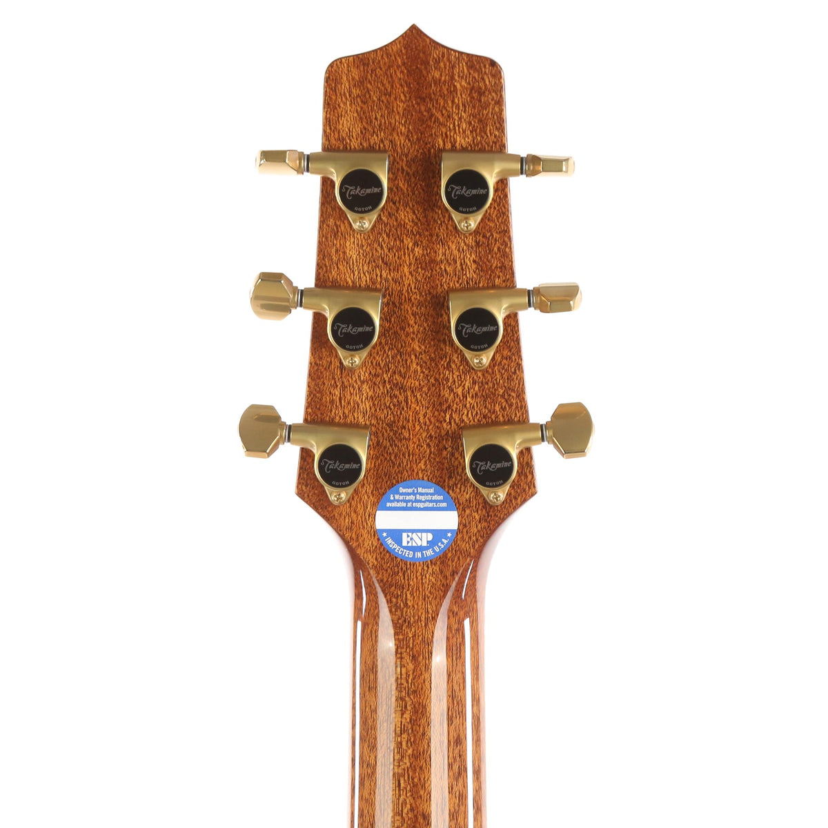Takamine LTD 2020 Peace Acoustic-Electric Green Tea — 5