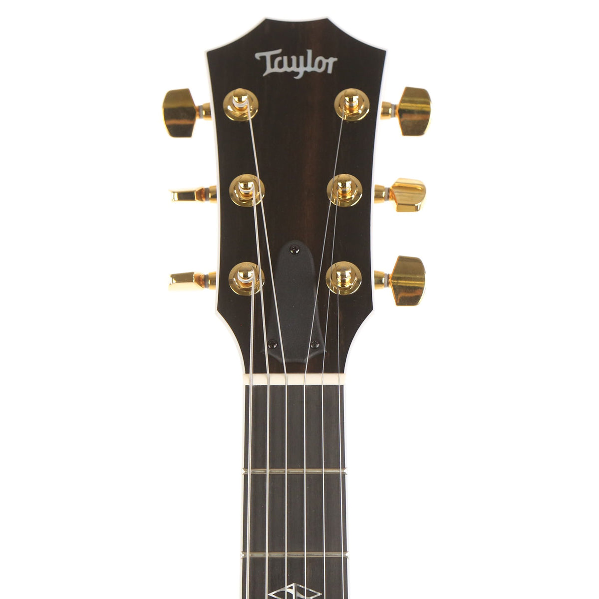 Taylor T5z Pro Birdseye Maple Top and Urban Ash Amber Stain — 4