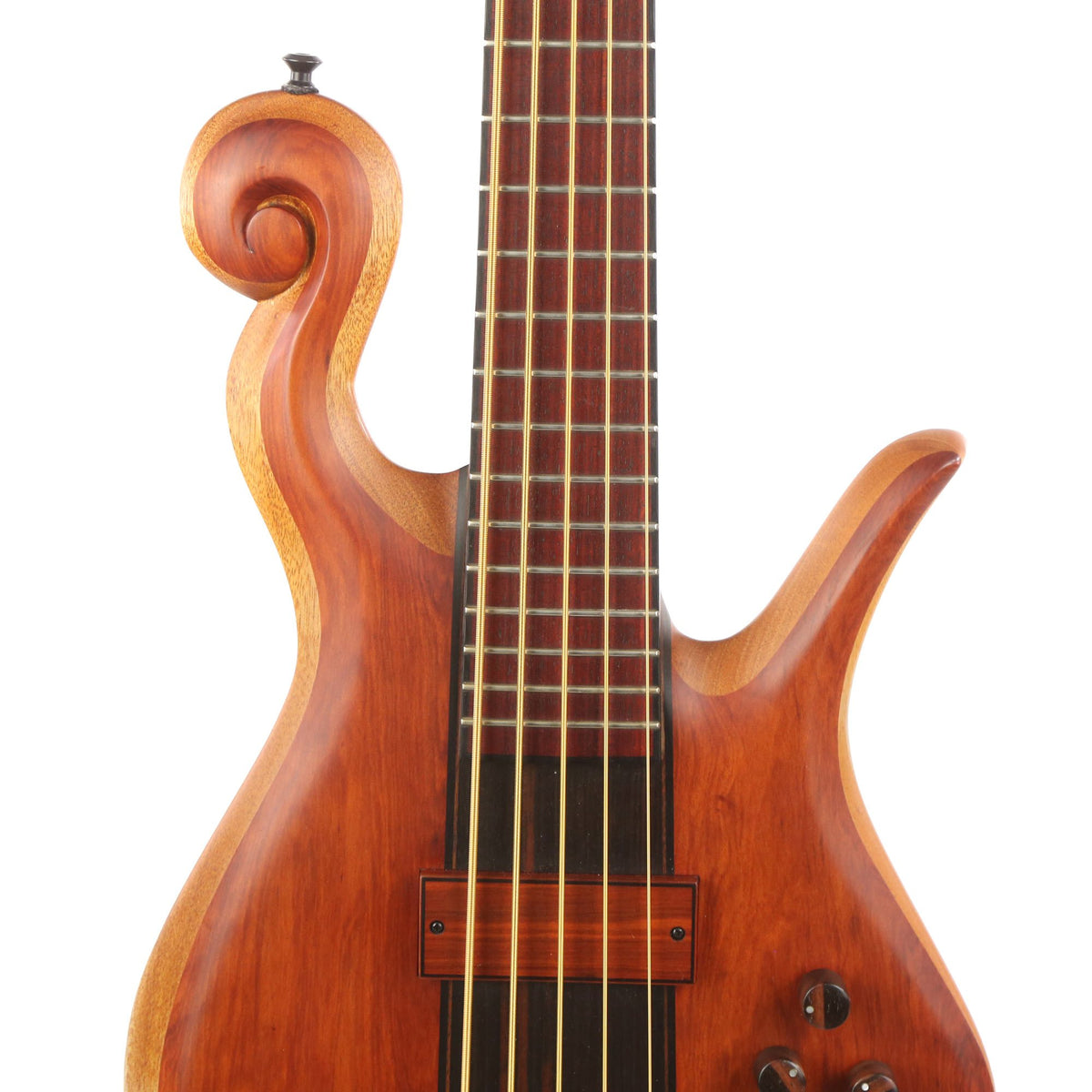 Hilton Scroll 5-String Bass — 6