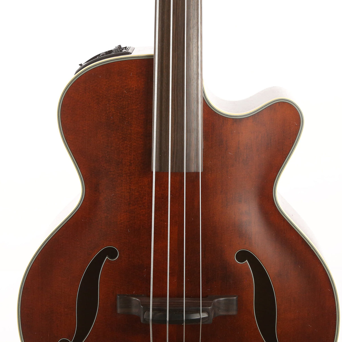Takamine Legacy Series TB10 Acoustic-Electric Upright Bass — 6