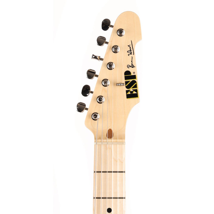 ESP Custom Shop Ron Wood Signature Guitar Black