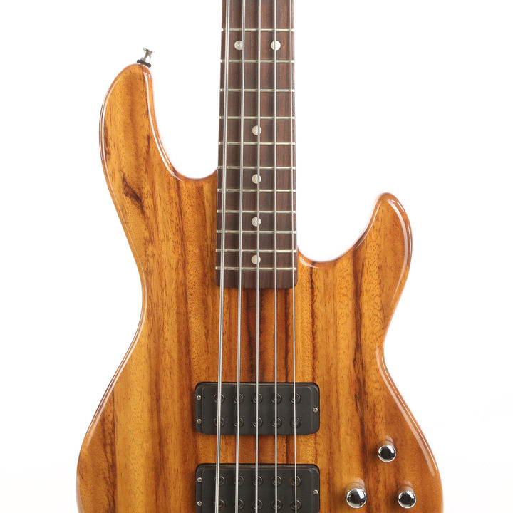 G&L USA Custom Shop M2500 5-String Bass 2012