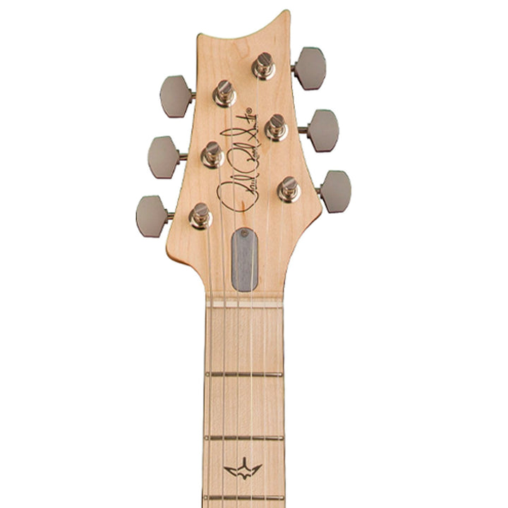 PRS Silver Sky Lunar Ice Limited Edition