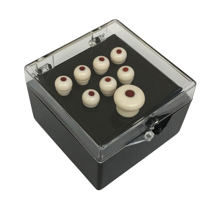 Martin Authentic Series Bridge and Endpin Set White with Tortoise Dot