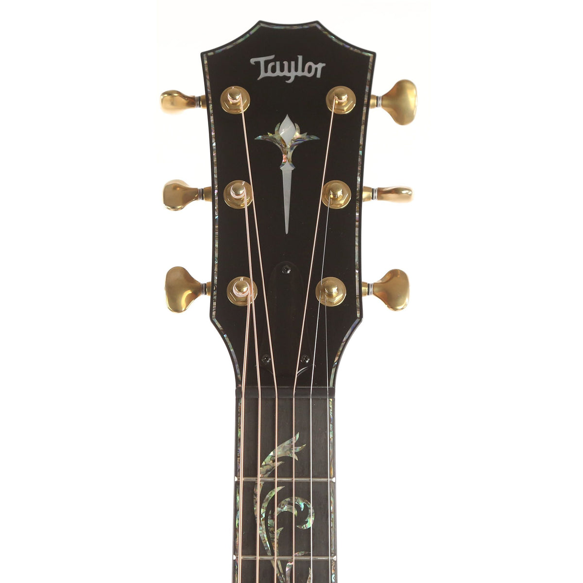 Taylor PS14ce-LTD Macassar Ebony and Sinker Redwood — 4