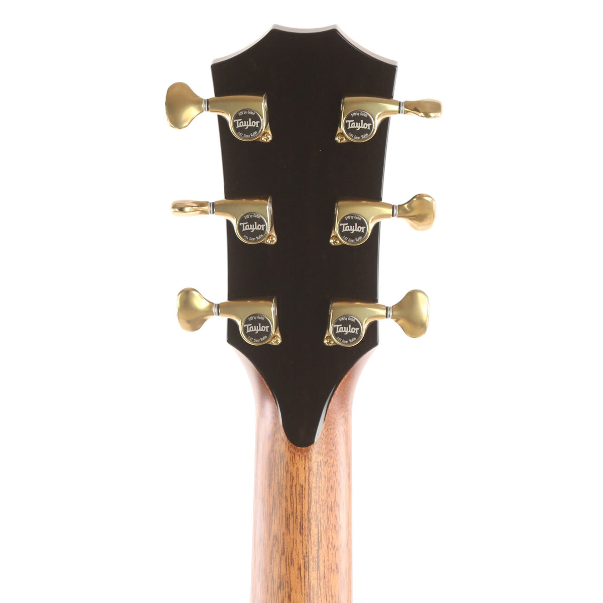 Taylor PS14ce-LTD Macassar Ebony and Sinker Redwood — 5