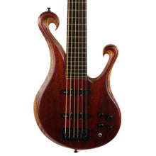 Xylem Vesovio 6-String Bass