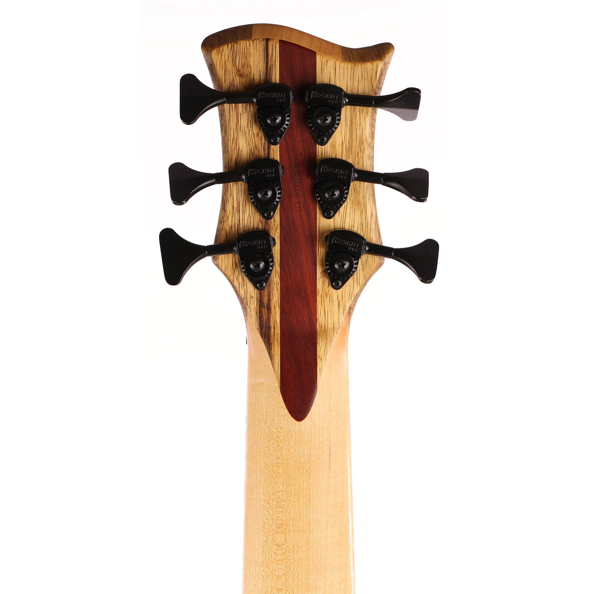 Xylem Vesovio 6-String Bass — 5