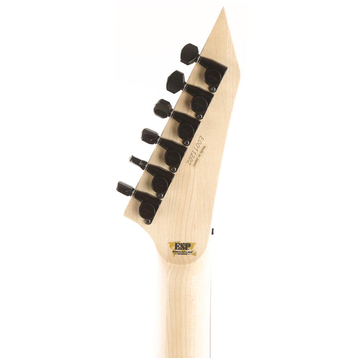 ESP George Lynch Skull and Snakes Signature Guitar Used