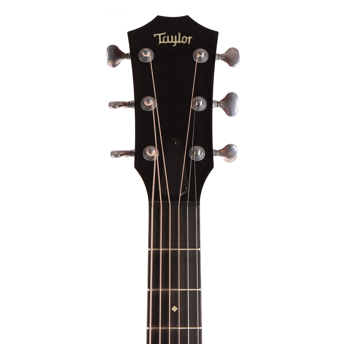 Taylor Custom Shop Grand Pacific Adirondack Spruce and Tasmanian Blackwood 2021 — 4