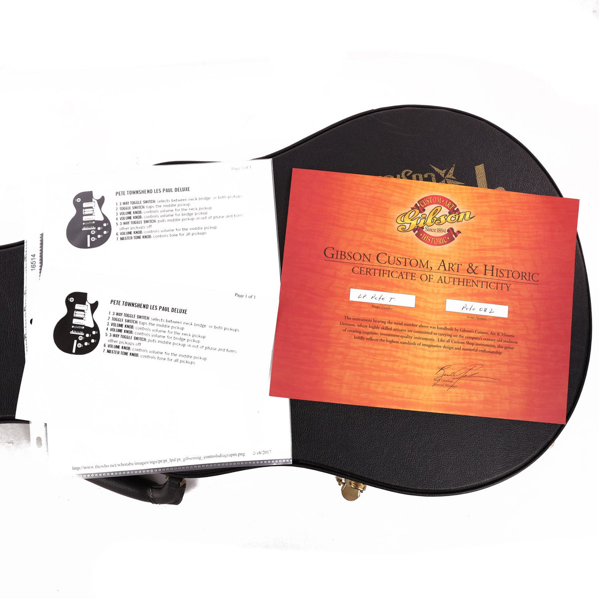 Gibson Custom Shop Pete Townshend Les Paul Deluxe Goldtop 2005 — 9