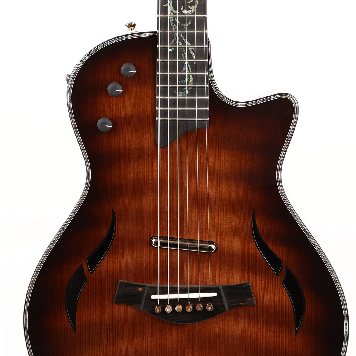 Taylor Custom Shop T5z Andy Powers Selected Curly Redwood and Figured Sapele — 6