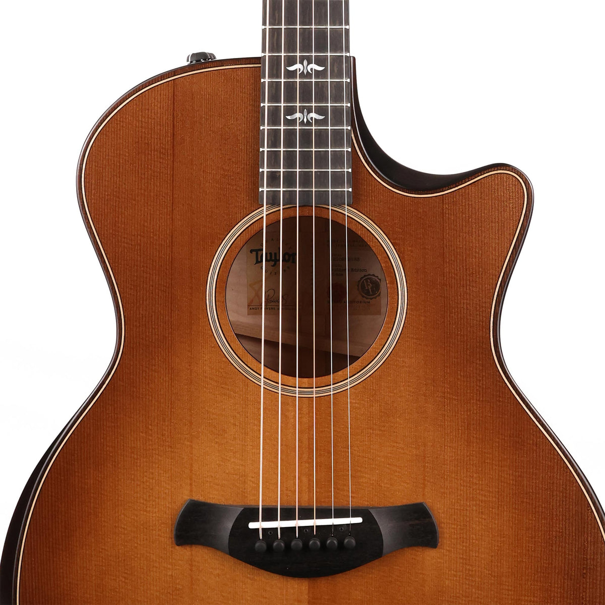Taylor Builder's Edition 614ce Wild Honey Burst — 6