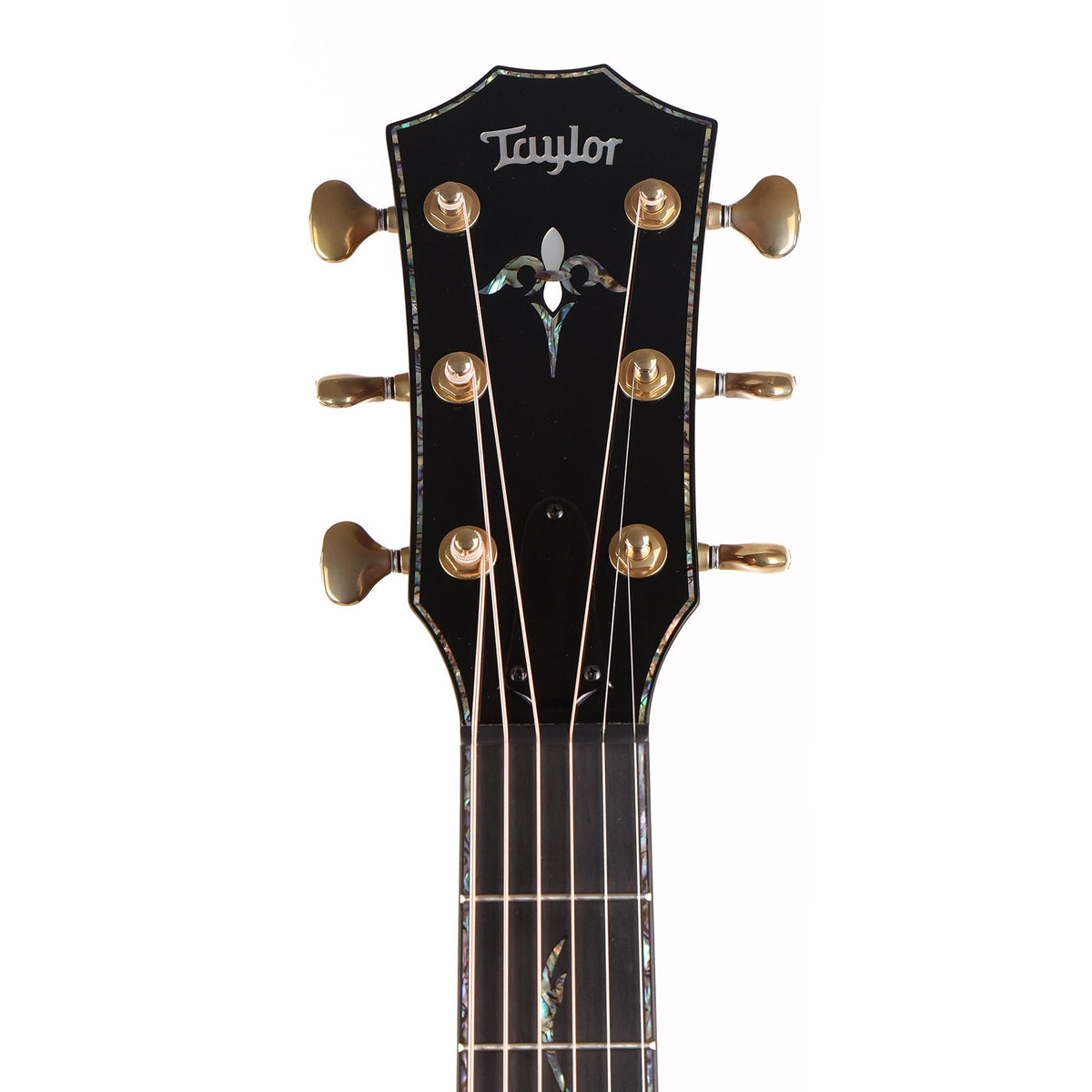 Taylor PS14ce Grand Auditorium Adirondack Spruce and Honduran Rosewood — 4