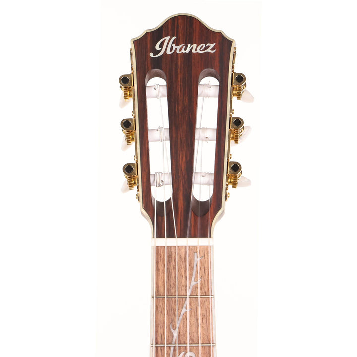 Ibanez TOD10N Tim Henson Signature Nylon Acoustic-Electric Transparent Black Flat