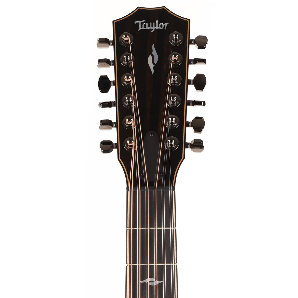 Taylor 858e LTD Grand Orchestra 12-String Acoustic-Electric Natural — 4