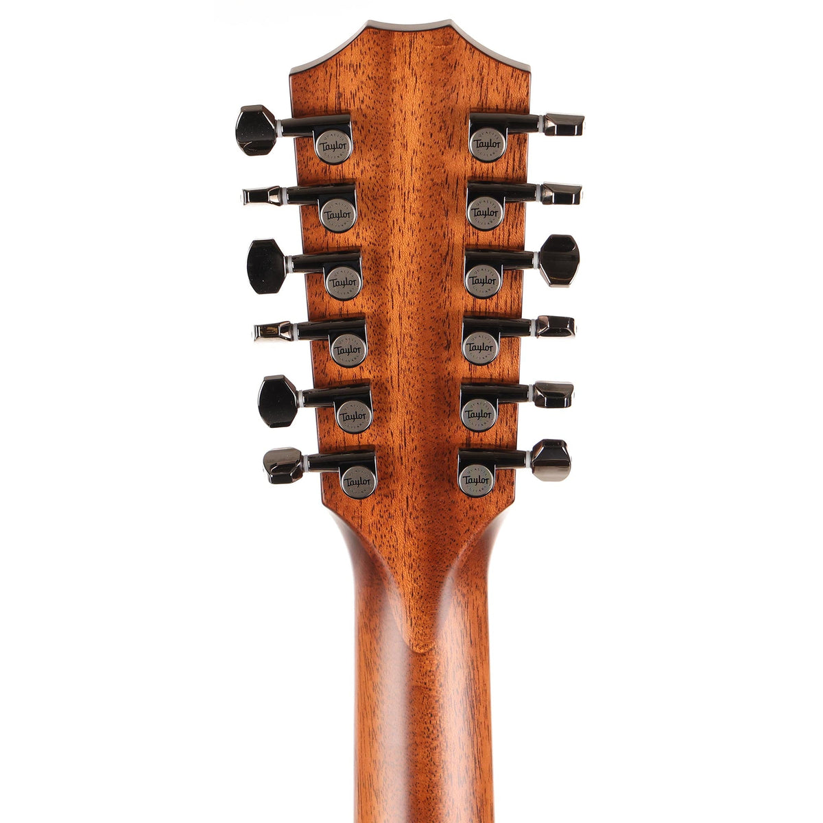 Taylor 858e LTD Grand Orchestra 12-String Acoustic-Electric Natural — 5