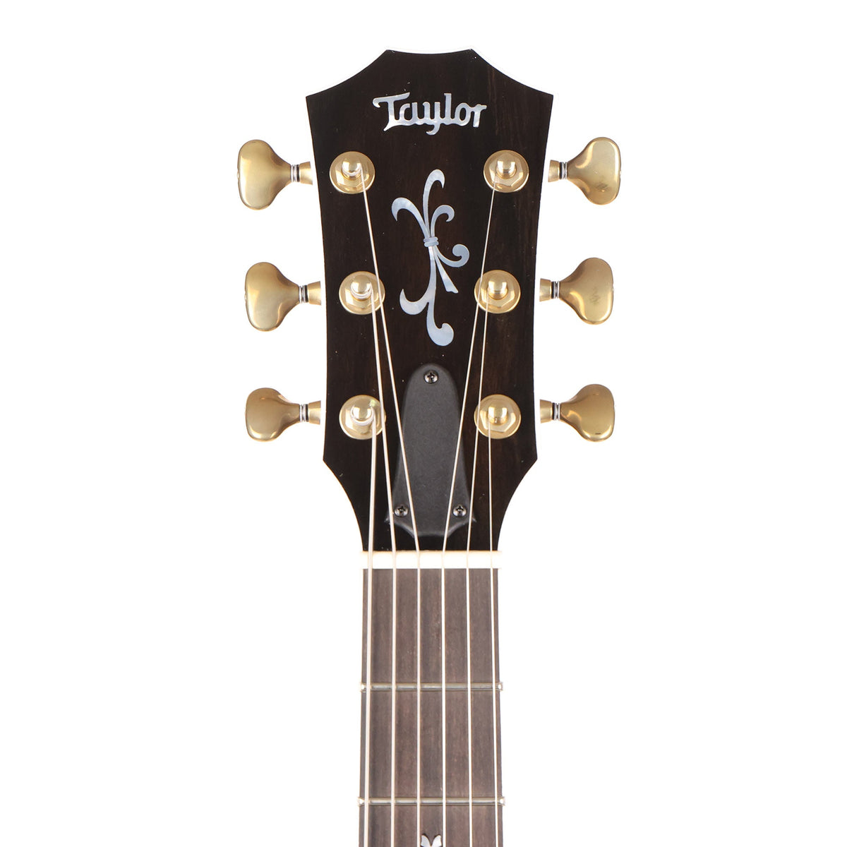 Taylor T5z Custom Cocobolo Top Shaded Edgeburst with Gold Hardware — 4