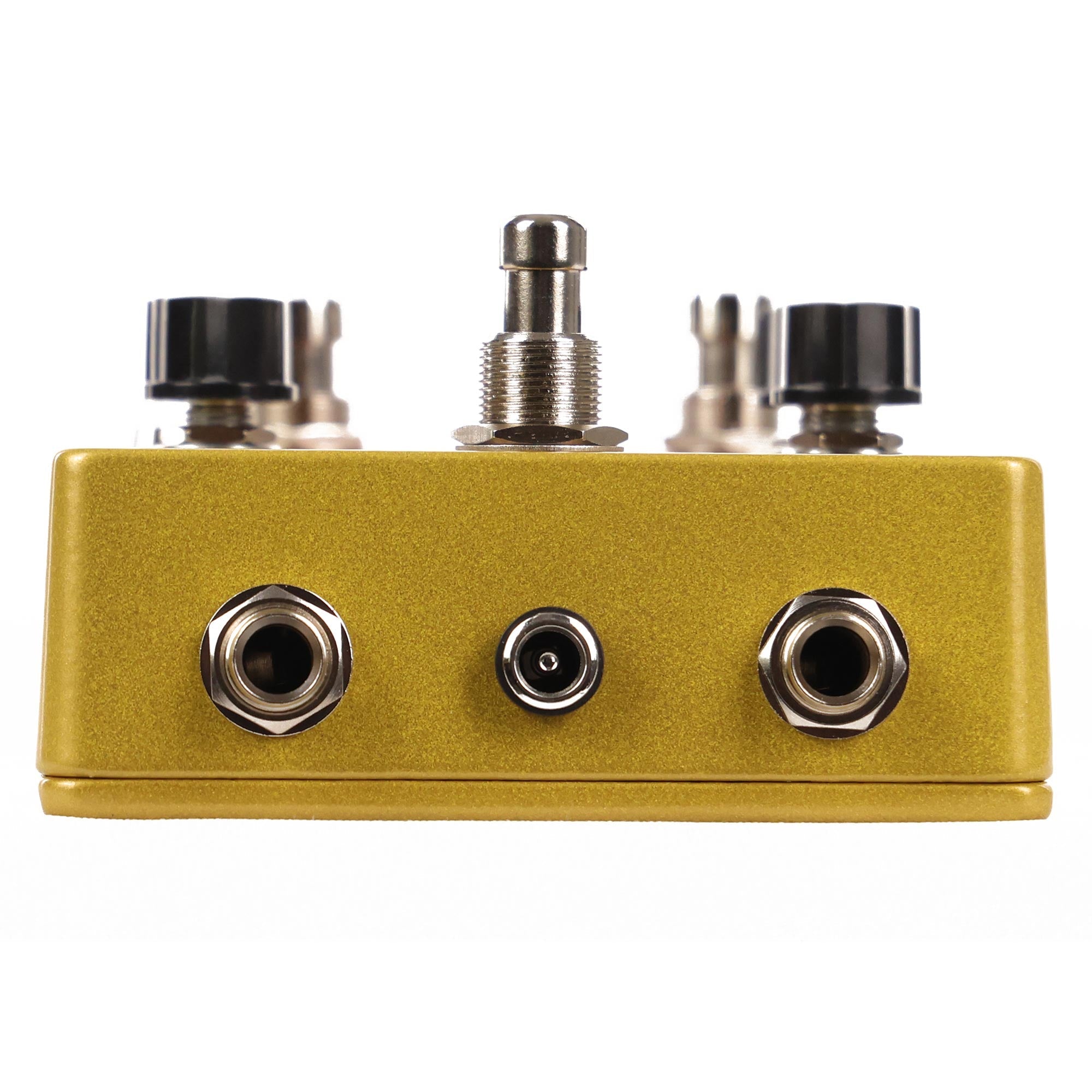 Fuzzrocious Tyrannochorus Gated Fuzz and Chorus Music Zoo