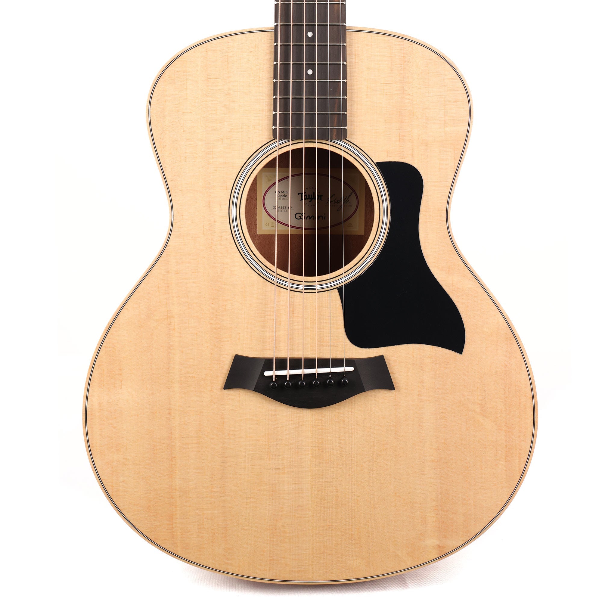 62069_Taylor_GS_Mini_Sapele_22