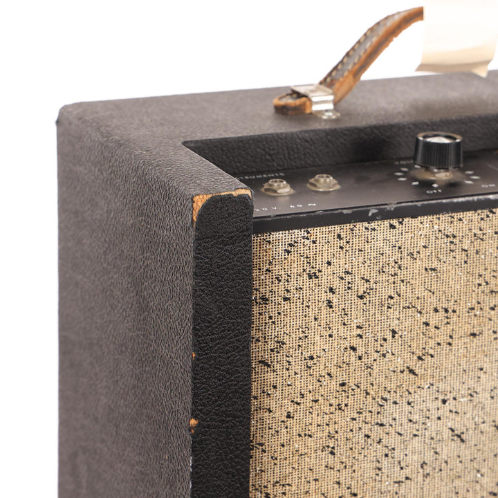 Lectrolab Model R204D Combo Amplifier