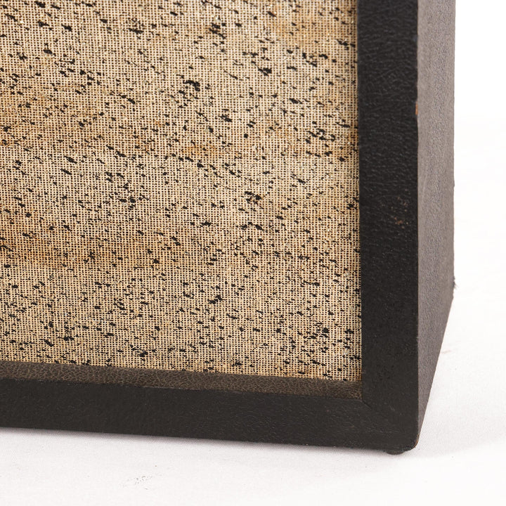 Lectrolab Model R204D Combo Amplifier