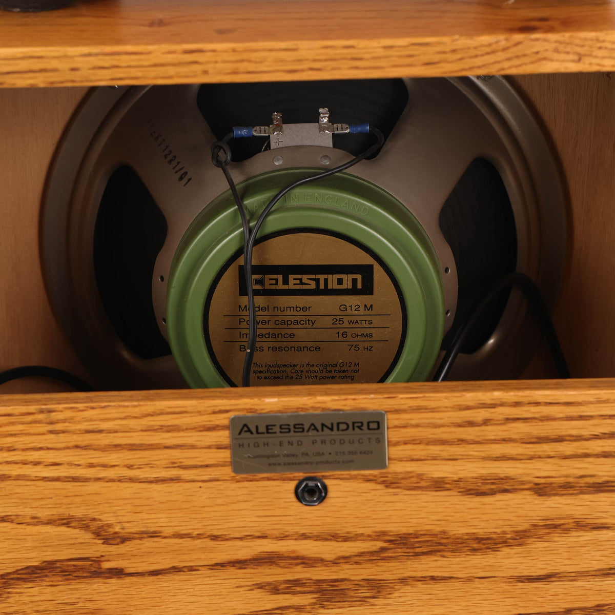 Alessandro Beagle Head and 1x12 Cabinet — 8