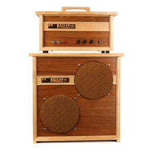 Analog Outfitters Organic 15 Amplifier and 2x10 Cabinet