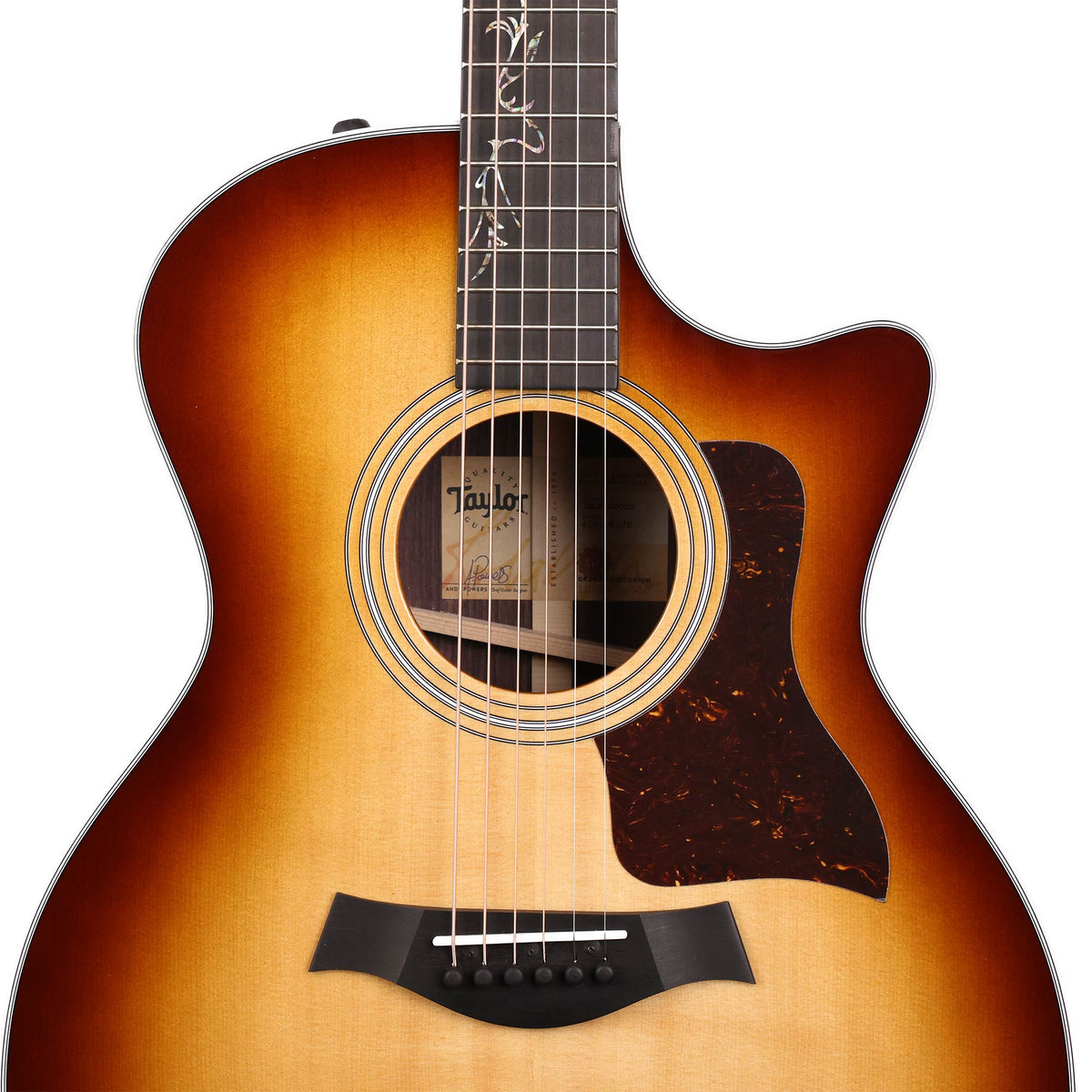 Taylor 414ce-R LTD Shaded Edgeburst with Lily and Vine Inlay — 6