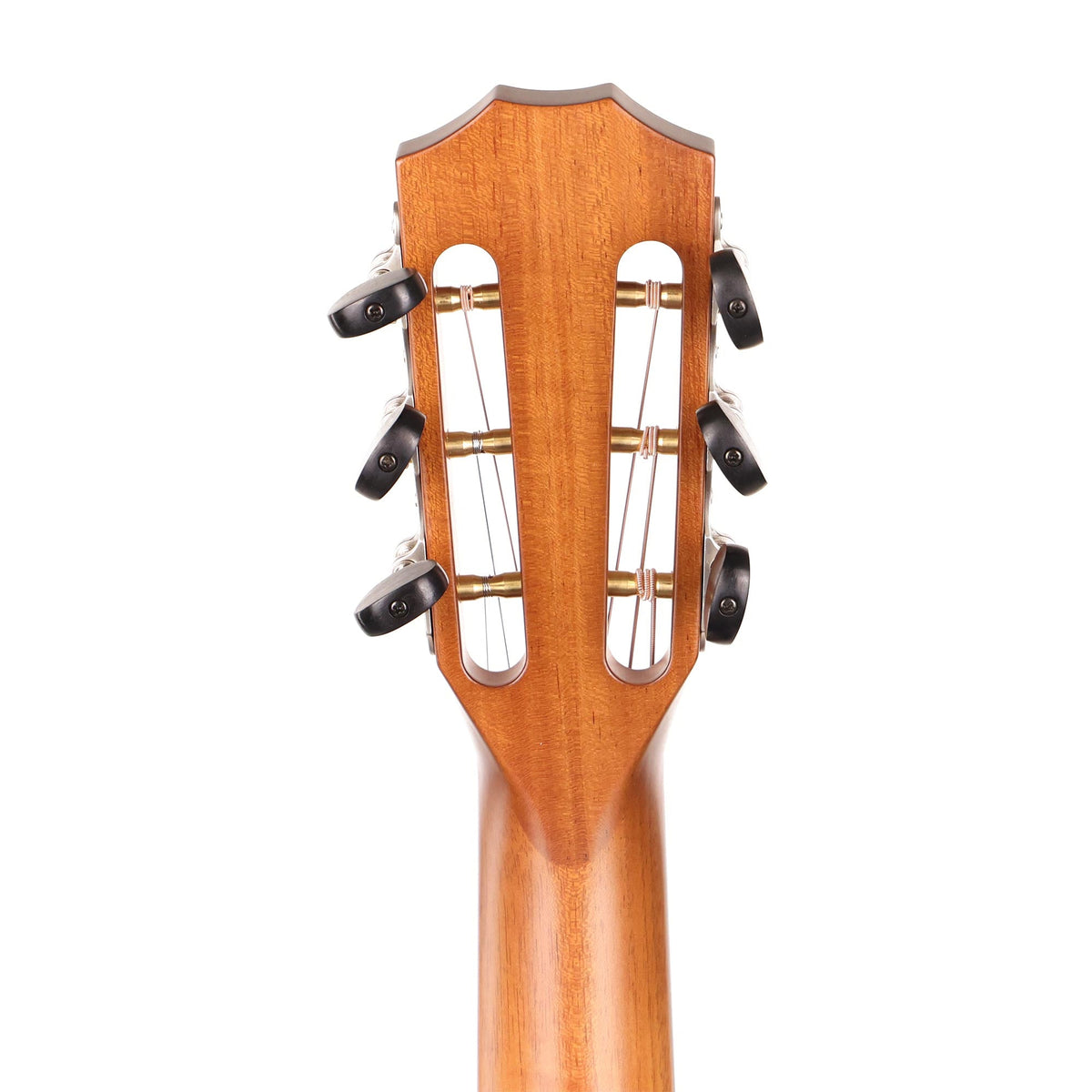 Taylor 512ce 12-Fret Urban Ironbark Grand Concert Shaded Edgeburst — 5
