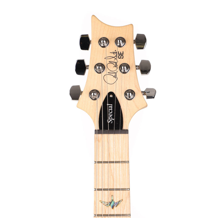 PRS SE Swamp Ash Special Charcoal