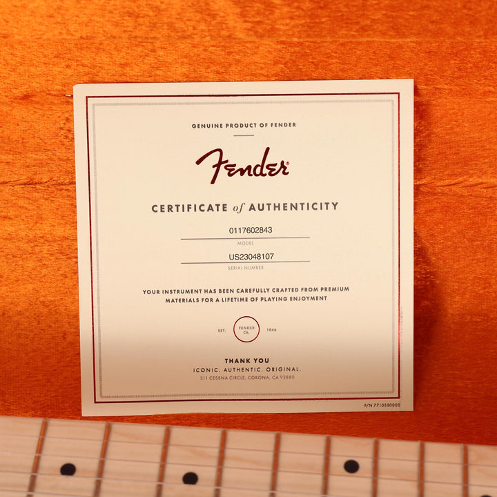 Fender Artist Series Eric Clapton Stratocaster Pewter 2023